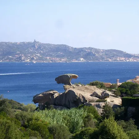 1.2 Km Dalla Budoniaffitti *
