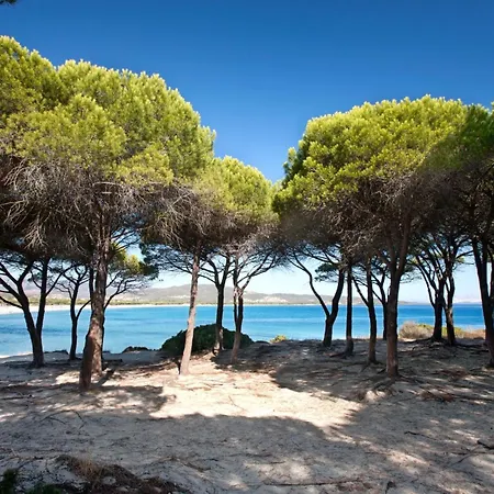 1.2 Km Dalla Budoniaffitti Σπίτι διακοπών Tanaunella