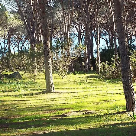 1.2 Km Dalla Budoniaffitti Σπίτι διακοπών