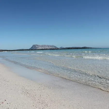 Trilocale Vista Mare E Tavolara By Budoniaffitti Tanaunella