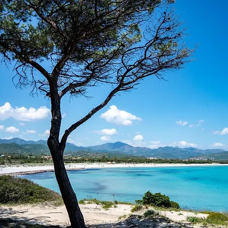Feriehus Trilocale Vista Mare E Tavolara By Budoniaffitti Tanaunella